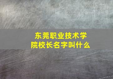 东莞职业技术学院校长名字叫什么