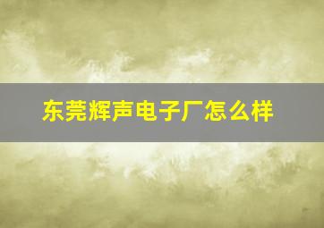 东莞辉声电子厂怎么样