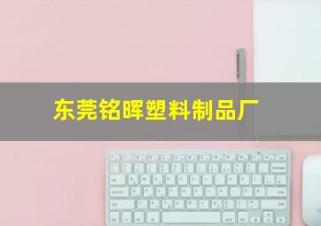 东莞铭晖塑料制品厂