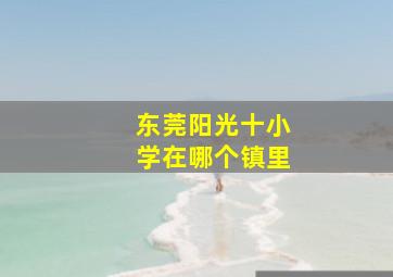 东莞阳光十小学在哪个镇里