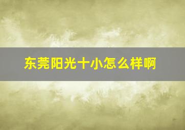 东莞阳光十小怎么样啊