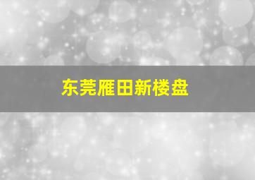 东莞雁田新楼盘