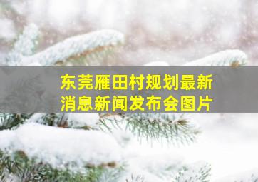 东莞雁田村规划最新消息新闻发布会图片