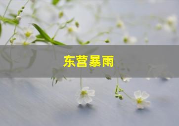 东营暴雨