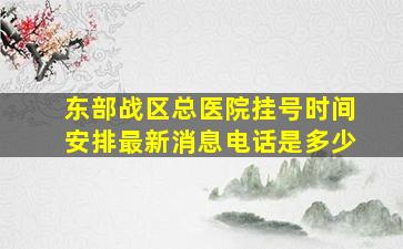 东部战区总医院挂号时间安排最新消息电话是多少