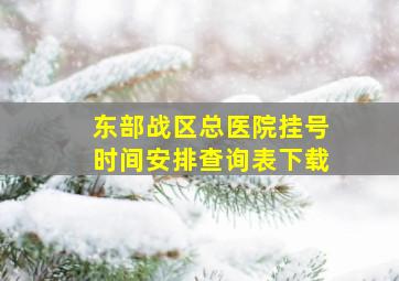 东部战区总医院挂号时间安排查询表下载