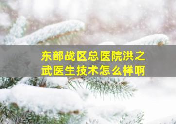 东部战区总医院洪之武医生技术怎么样啊