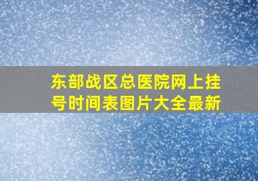 东部战区总医院网上挂号时间表图片大全最新