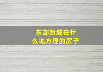 东部新城在什么地方建的房子