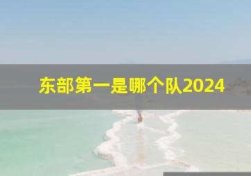 东部第一是哪个队2024