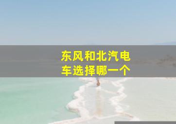 东风和北汽电车选择哪一个