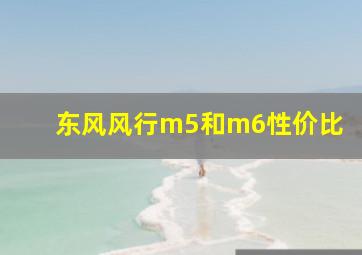 东风风行m5和m6性价比