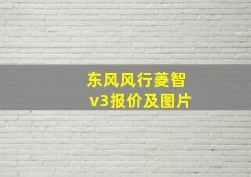 东风风行菱智v3报价及图片