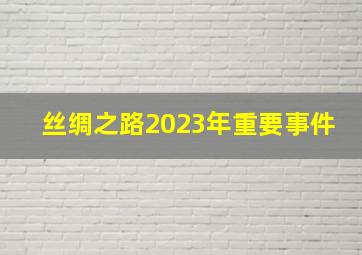 丝绸之路2023年重要事件