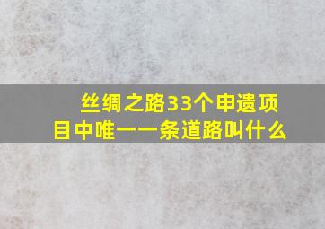 丝绸之路33个申遗项目中唯一一条道路叫什么