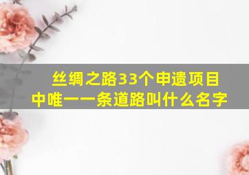 丝绸之路33个申遗项目中唯一一条道路叫什么名字