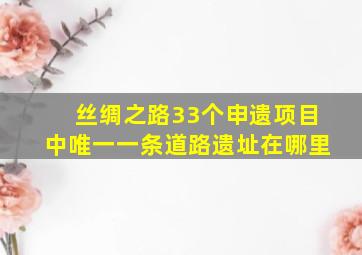 丝绸之路33个申遗项目中唯一一条道路遗址在哪里