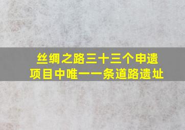 丝绸之路三十三个申遗项目中唯一一条道路遗址