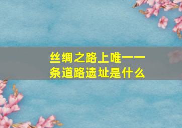 丝绸之路上唯一一条道路遗址是什么