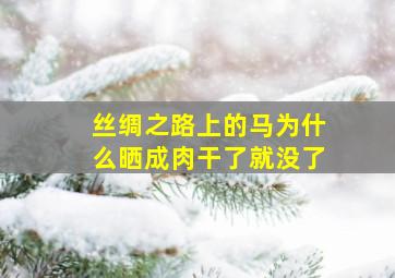 丝绸之路上的马为什么晒成肉干了就没了