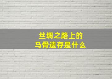 丝绸之路上的马骨遗存是什么