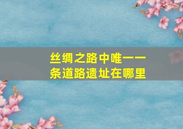 丝绸之路中唯一一条道路遗址在哪里