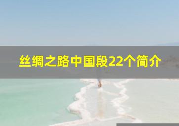 丝绸之路中国段22个简介