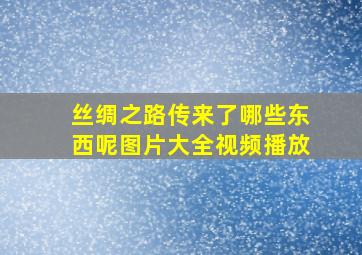 丝绸之路传来了哪些东西呢图片大全视频播放