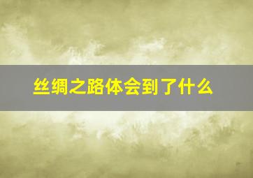 丝绸之路体会到了什么