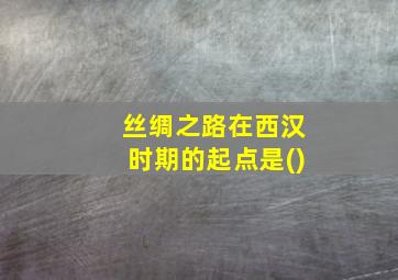 丝绸之路在西汉时期的起点是()