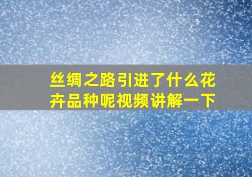 丝绸之路引进了什么花卉品种呢视频讲解一下