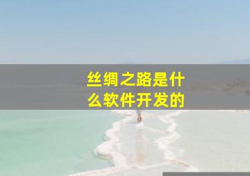 丝绸之路是什么软件开发的