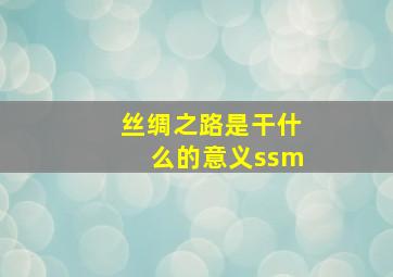 丝绸之路是干什么的意义ssm