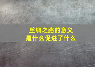 丝绸之路的意义是什么促进了什么