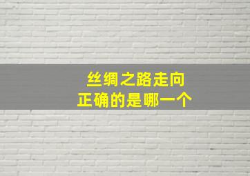 丝绸之路走向正确的是哪一个