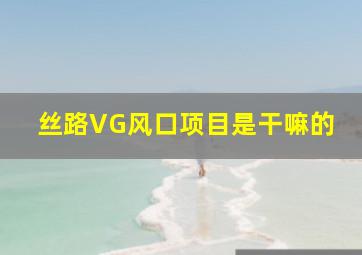 丝路VG风口项目是干嘛的