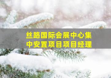 丝路国际会展中心集中安置项目项目经理