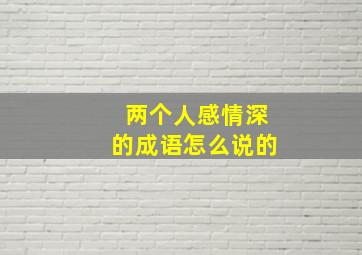 两个人感情深的成语怎么说的