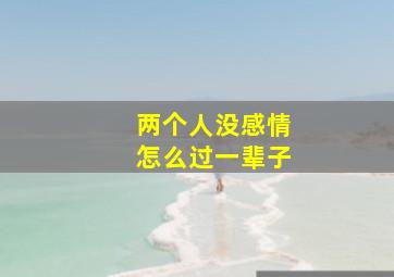 两个人没感情怎么过一辈子