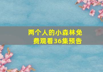 两个人的小森林免费观看36集预告