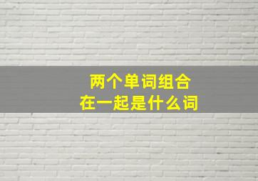 两个单词组合在一起是什么词