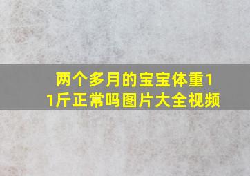 两个多月的宝宝体重11斤正常吗图片大全视频