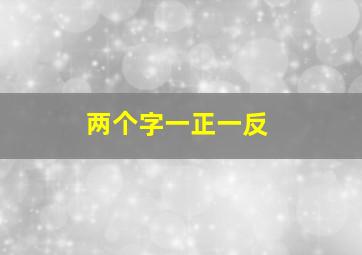 两个字一正一反