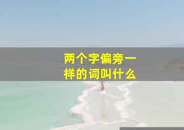 两个字偏旁一样的词叫什么