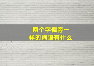 两个字偏旁一样的词语有什么