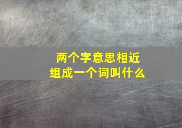 两个字意思相近组成一个词叫什么