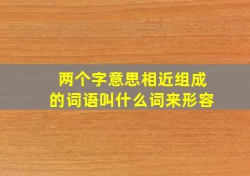 两个字意思相近组成的词语叫什么词来形容