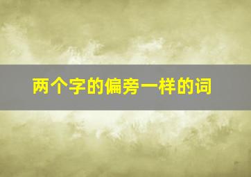 两个字的偏旁一样的词