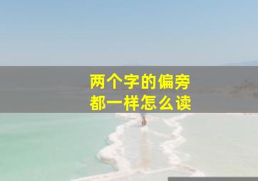 两个字的偏旁都一样怎么读