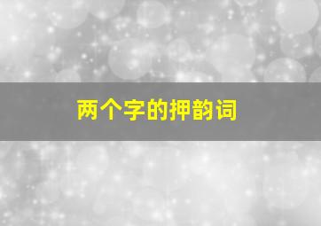 两个字的押韵词